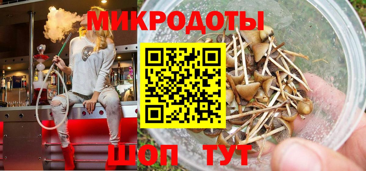 Галлюциногенные грибы Psilocybine cubensis Котовск