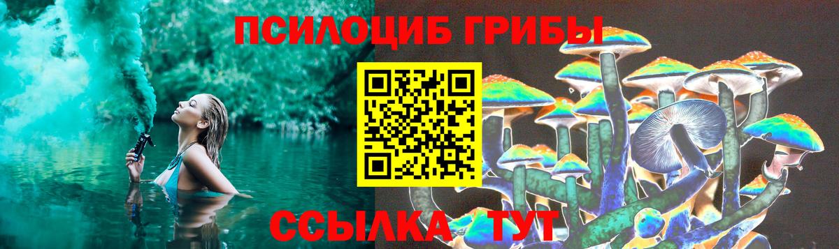 Галлюциногенные грибы прущие грибы  что такое   Котовск  Вход с VPN  Галлюциногенные грибы мицелий 