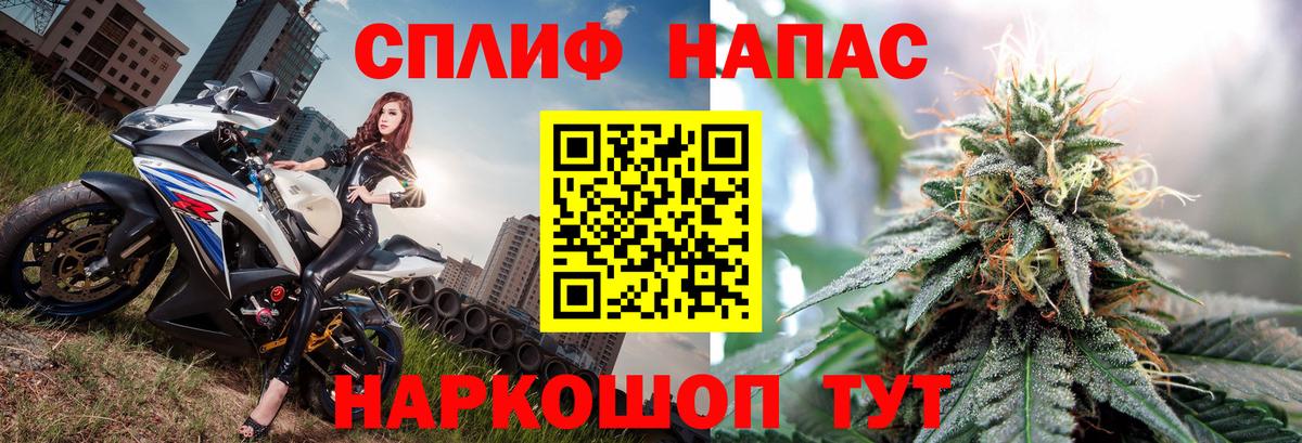 Котовск  Каннабис планчик  Вход с VPN  Бошки марихуана марихуана  Конопля Amnesia 